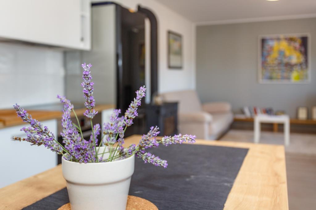 Villa Mirela Apartment ヴルブニク エクステリア 写真